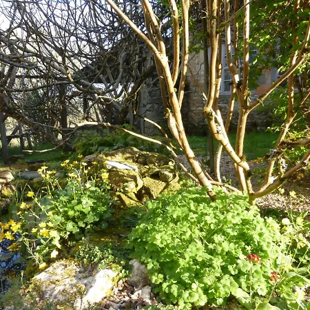 Le Bourmier Near Excideuil Anlhiac