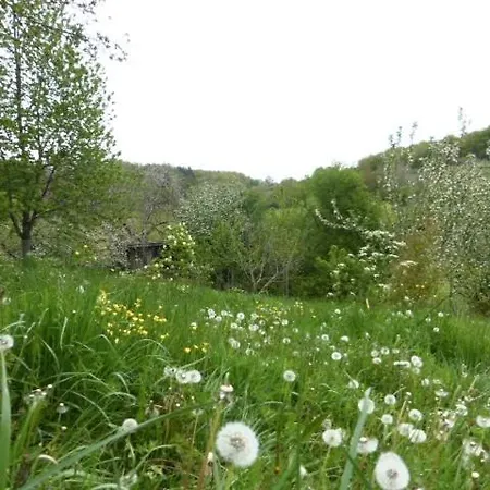 Le Bourmier Near Excideuil Anlhiac